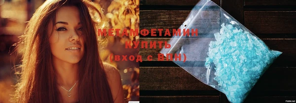 прущие грибы Балабаново