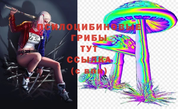 ECSTASY Балахна