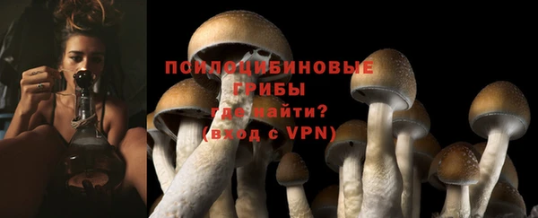 мескалин Баксан