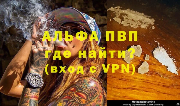 прущие грибы Балабаново