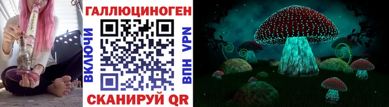 Псилоцибиновые грибы GOLDEN TEACHER  Курильск 